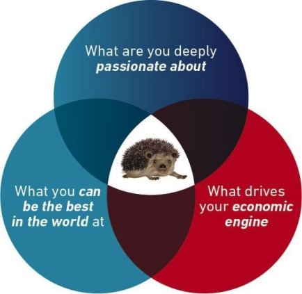 hedgehog concept