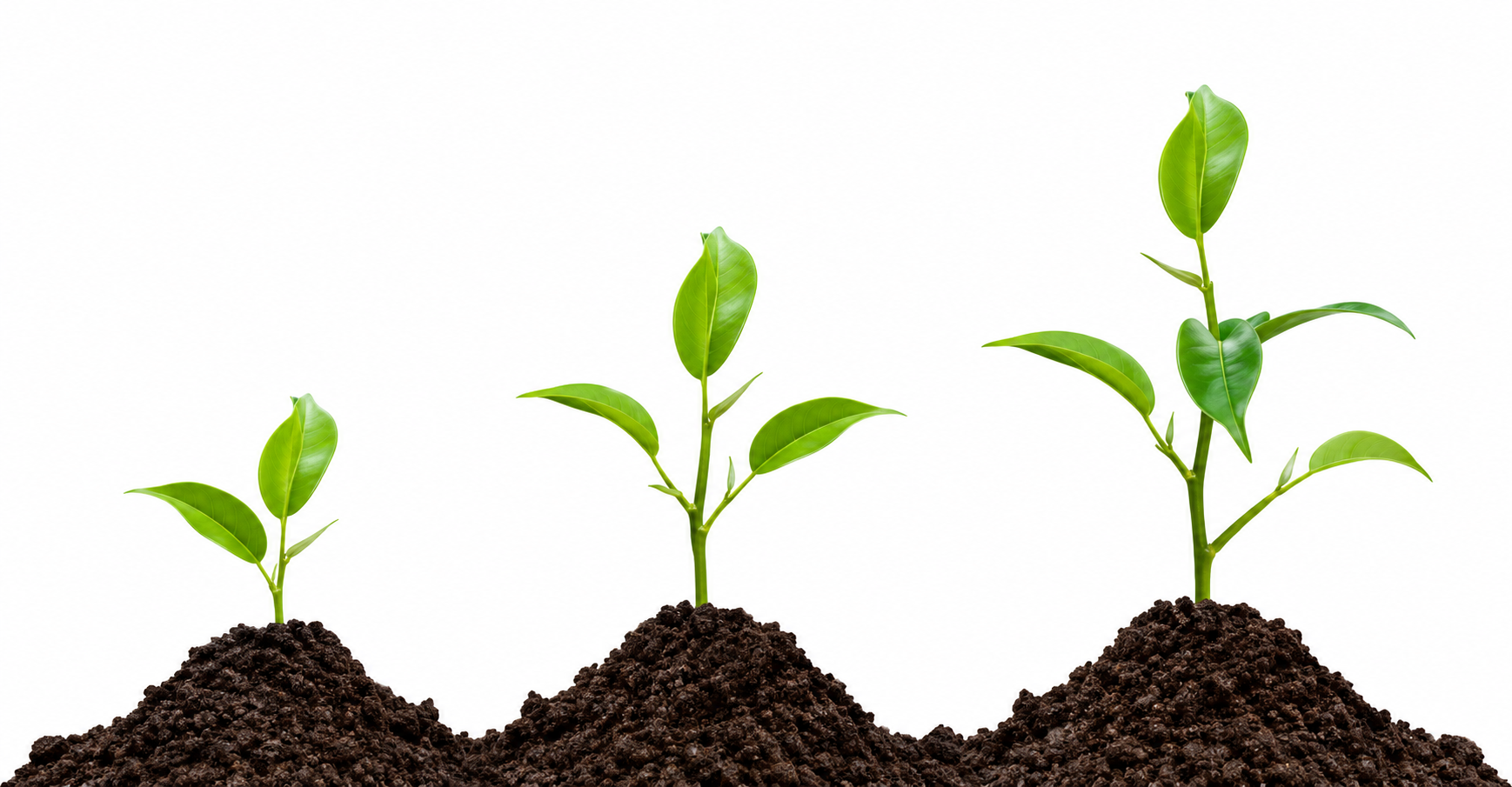 Grow Customer List - Bulk SMS